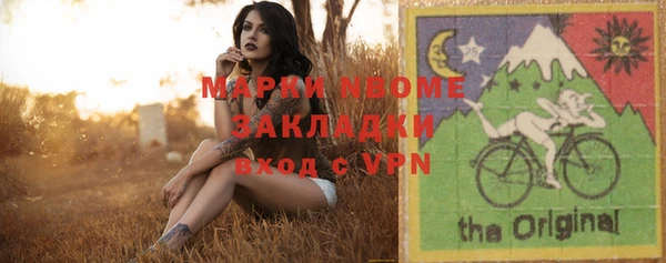 амф Горняк