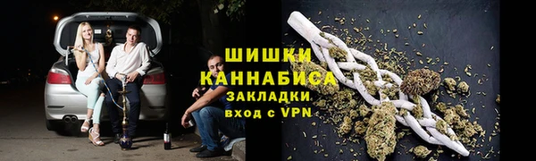 амф Горняк