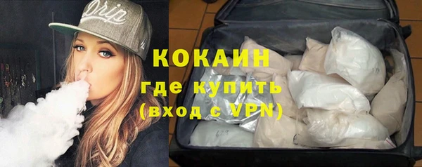 амф Горняк