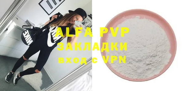 амф Горняк