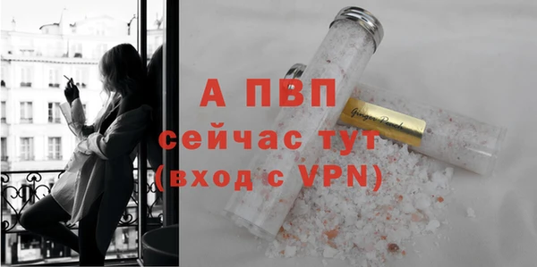 амф Горняк