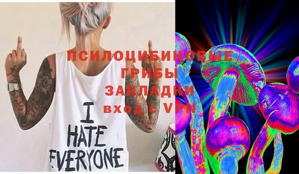 амф Горняк