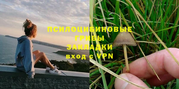 амф Горняк