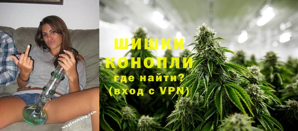 амф Горняк